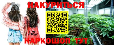 индика Ипатово