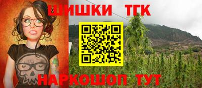 индика Ипатово