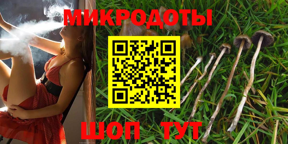 Кунгур  где купить   Вход с VPN  Галлюциногенные грибы прущие грибы  Псилоцибиновые грибы мицелий 